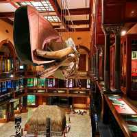 Visit Bishop Museum 
