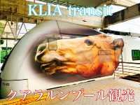 マレーシア　プトラジャヤ観光　空港までの移動はKLIA transitが早くて便利！