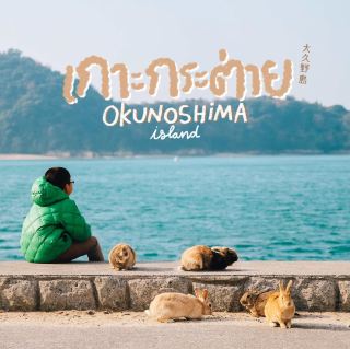 大久野島兔子島 超可愛！