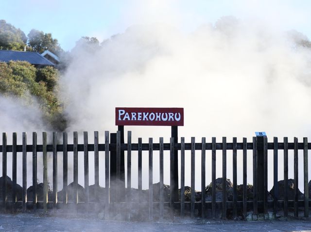 【NZ】ニュージーランド ロトルア旅