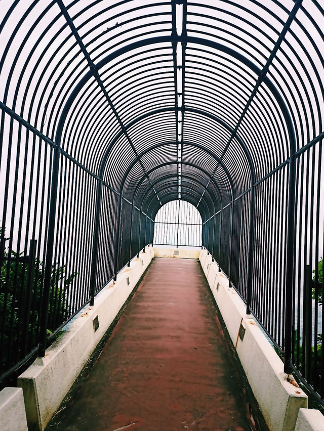 The Misaki Park