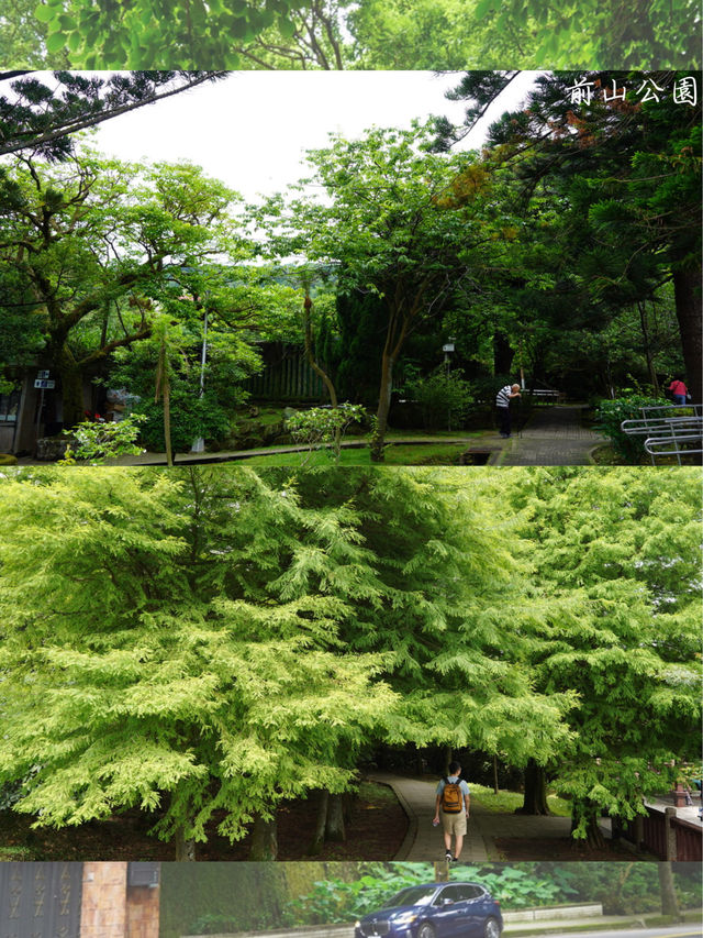 陽明山國家公園～一場自然與文化的盛宴🏡