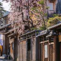 Explore Kyoto City Streets 🚶‍♂️✨