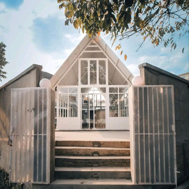 FRESH BREW | NEW GLASSHOUSE COFFEE SHOP