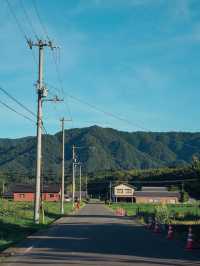 【香川】田園風景の中にある100万本のひまわり！