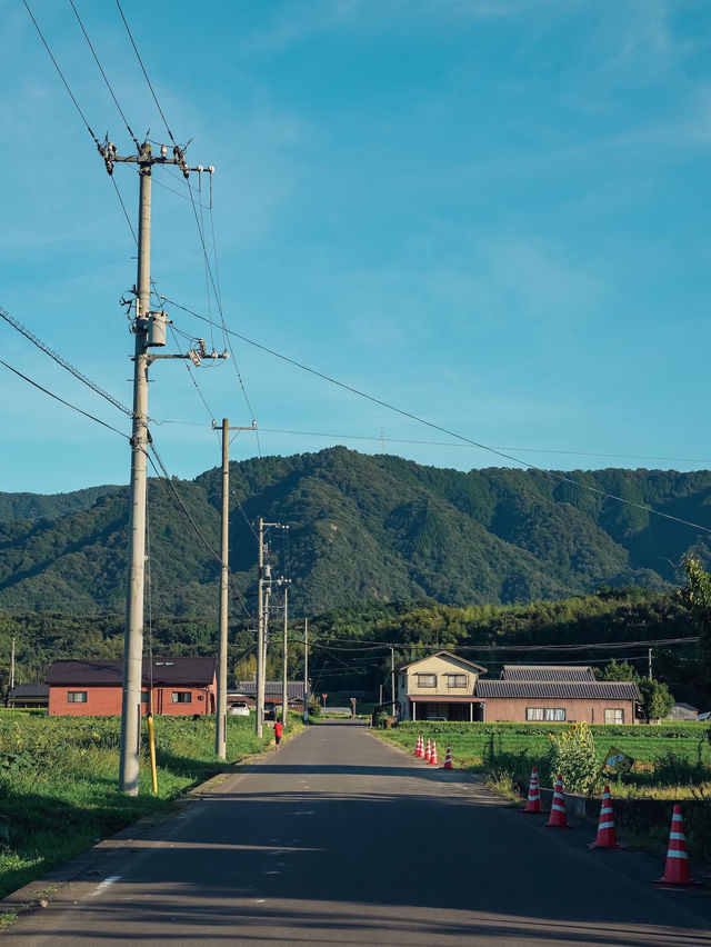 【香川】田園風景の中にある100万本のひまわり！