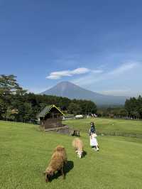 富士山自駕遊 🗻 尋找隱世秘景！