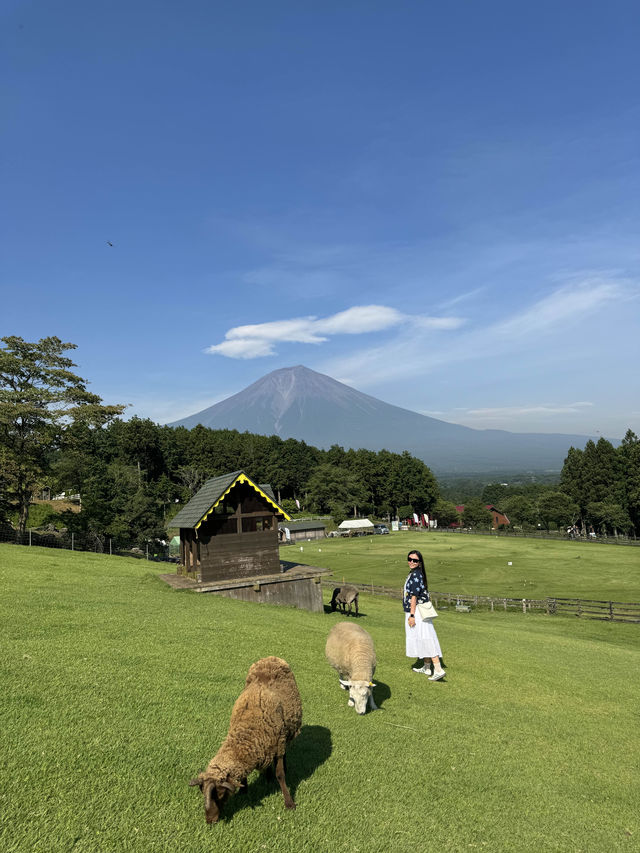 富士山自駕遊 🗻 尋找隱世秘景！