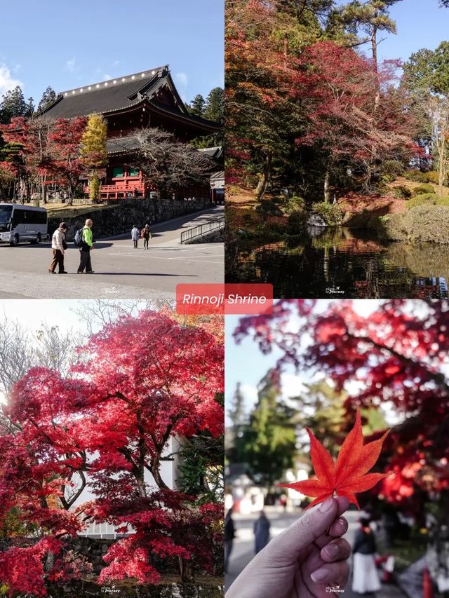 เที่ยว Nikko เมืองมรดกโลกในวันใบไม้เปลี่ยนสี 🍁⛩️