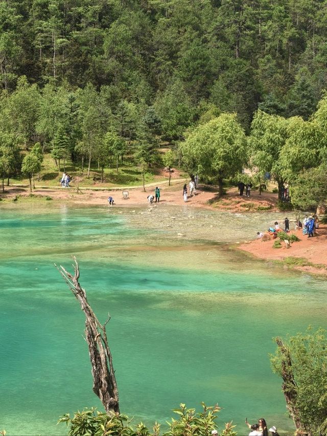The Blue Moon Valley
