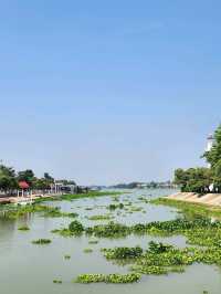 เกาะลอยน้ำอยุธยา "รักษ์บางปะอิน"