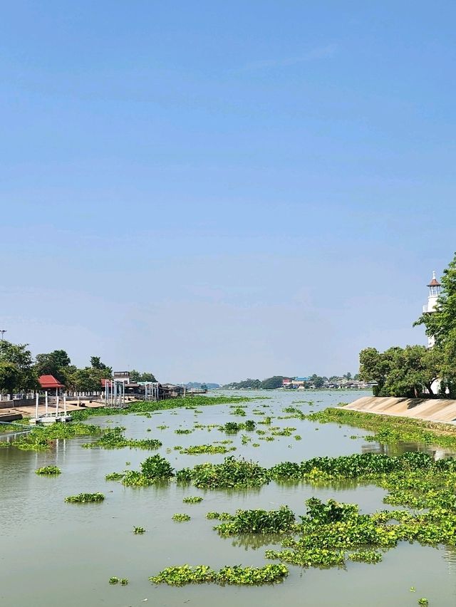 เกาะลอยน้ำอยุธยา "รักษ์บางปะอิน"