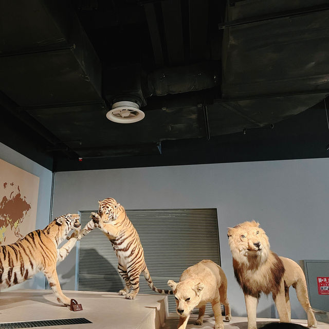 เดินเล่นกันที่ Shanghai Natural History Museum