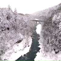美瑛景點/冬季必訪夢幻絕美景色 #白鬚瀑布(白ひげの滝)