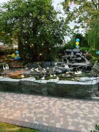 Wild Duck Cafe
