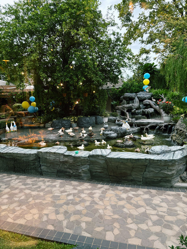 Wild Duck Cafe