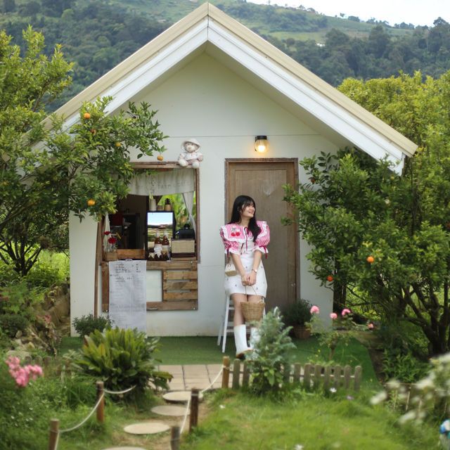 สวนส้มจินจู