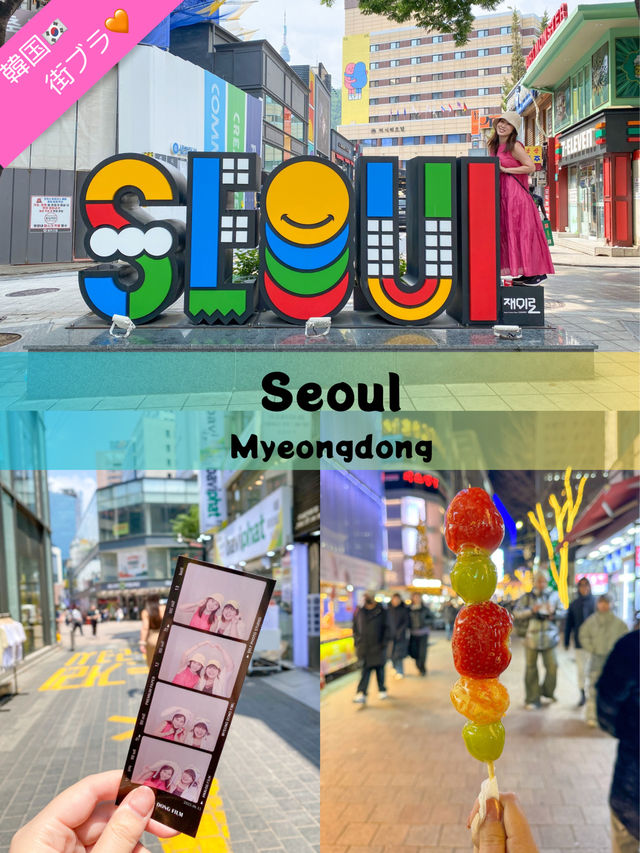 【韓国🇰🇷街ブラ】明洞編🚶🐕～