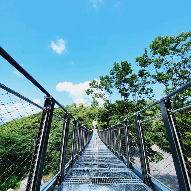 🌞애기봉 평화생태공원🌞