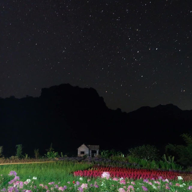 ไร่ภูผาหมวก ที่พักแสนสงบกลางทุ่งดอกไม้และสายหมอก