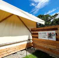 吉卜力公園附近的glamping