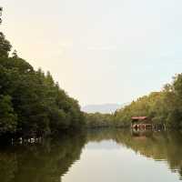 Hidden Charms of Perak and Kuala Sepetang
