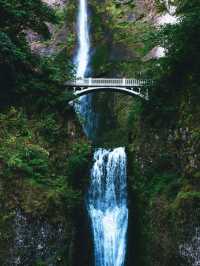 Finally Saw the Multnomah Falls