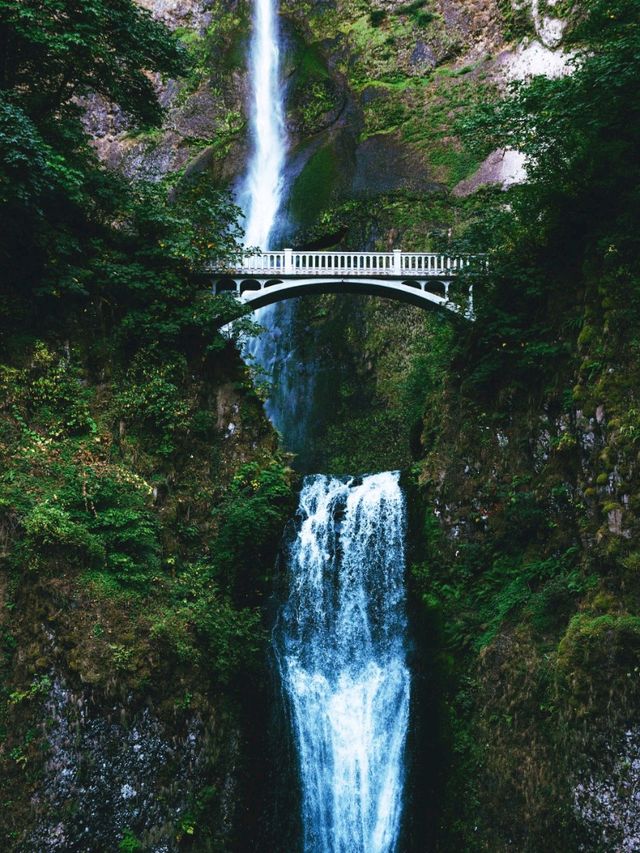 Finally Saw the Multnomah Falls