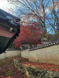 유네스코 세계유산 안동 도산서원🍁
