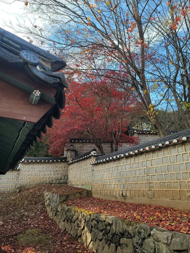 유네스코 세계유산 안동 도산서원🍁