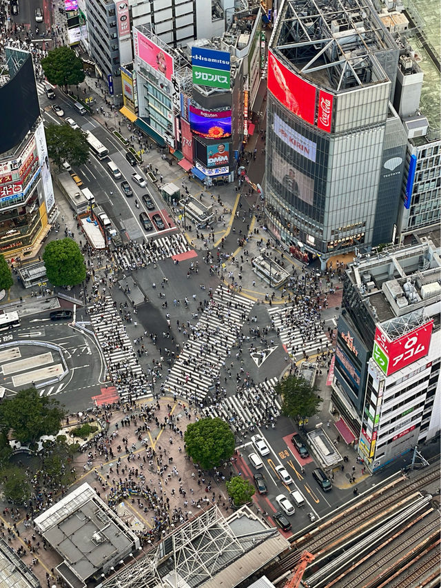 東京 | 終於朝聖shibuya sky 飽覽360度東京城市景😍