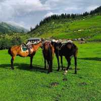 Kyrgyzstan's Untamed Beauty