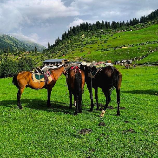 Kyrgyzstan's Untamed Beauty