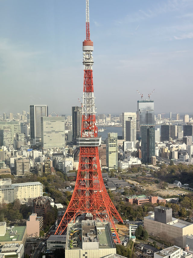 🌆 麻布台之丘展望台 - 東京の絶景を一望する特等席🗼  🌆 麻布台之丘展望台 - 東京の絶景を一望する特等席🗼