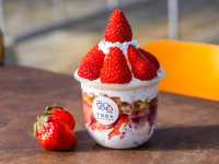 TODA Berry Farm