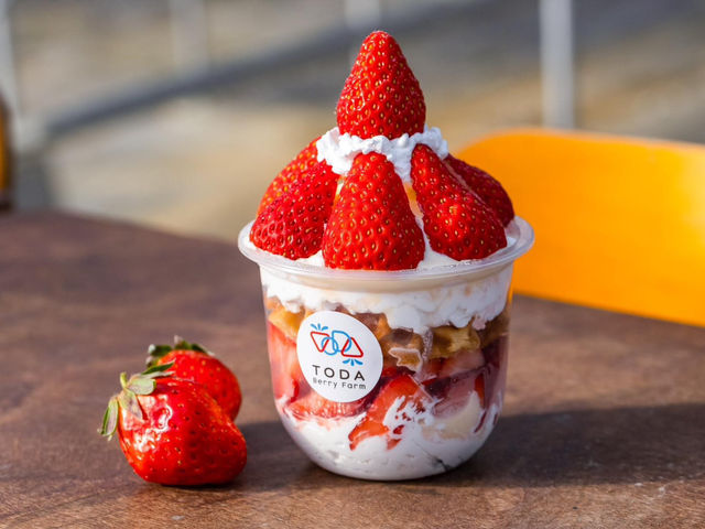 TODA Berry Farm