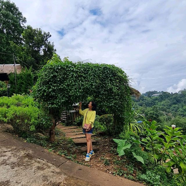 คาเฟ่บนดอย Jungle View Coffee