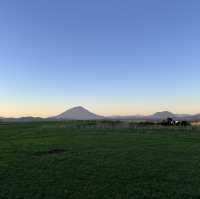 北海道｜Lake hill farm：洞爺湖畔花園牧場冰淇淋，悠閒親子美食景點