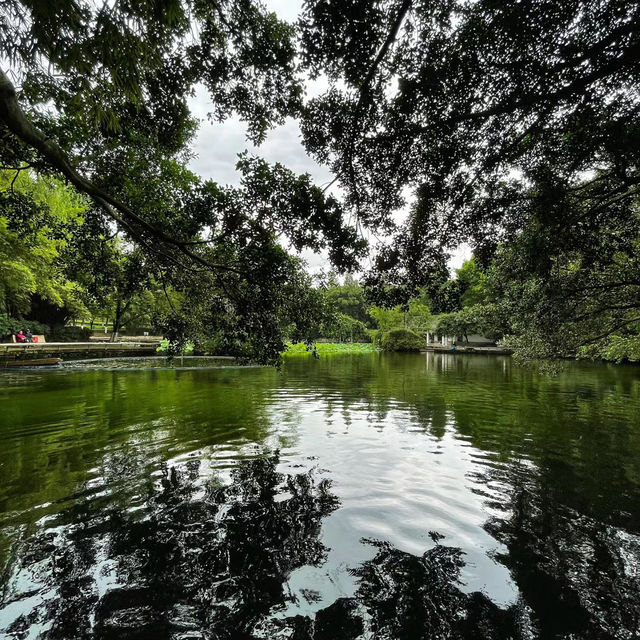 金鐘湖公園🌳綠意仙境 金鐘湖公園🌳綠意仙境