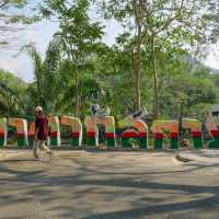 ไปเกาะลีเมอร์ที่สวนสัตว์เปิดเขาเขียว ศรีราชากัน 