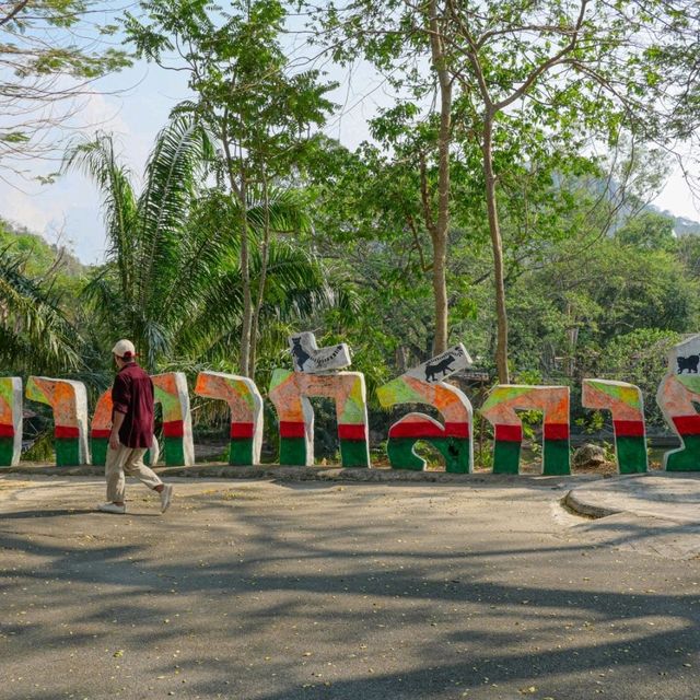 ไปเกาะลีเมอร์ที่สวนสัตว์เปิดเขาเขียว ศรีราชากัน 
