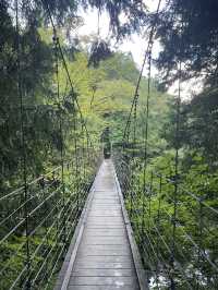 岐阜　マイナスイオンを感じられる滝🏞️