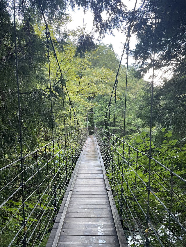 岐阜　マイナスイオンを感じられる滝🏞️