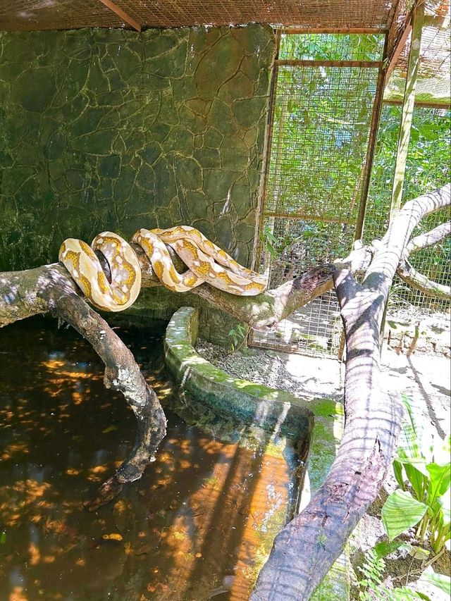 A Day at Deerland Park: Encountering Pythons and Other Animals