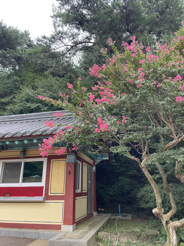 템플스테이도 가능한 절 ’수덕사‘
