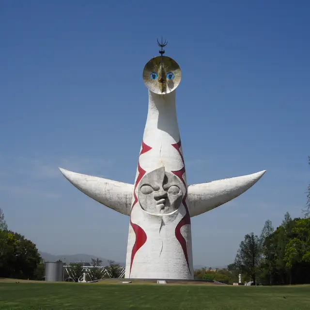 Indulging in Photography in the Flower Paradise - Nemophila at Expo '70 Commemorative Park and Us.