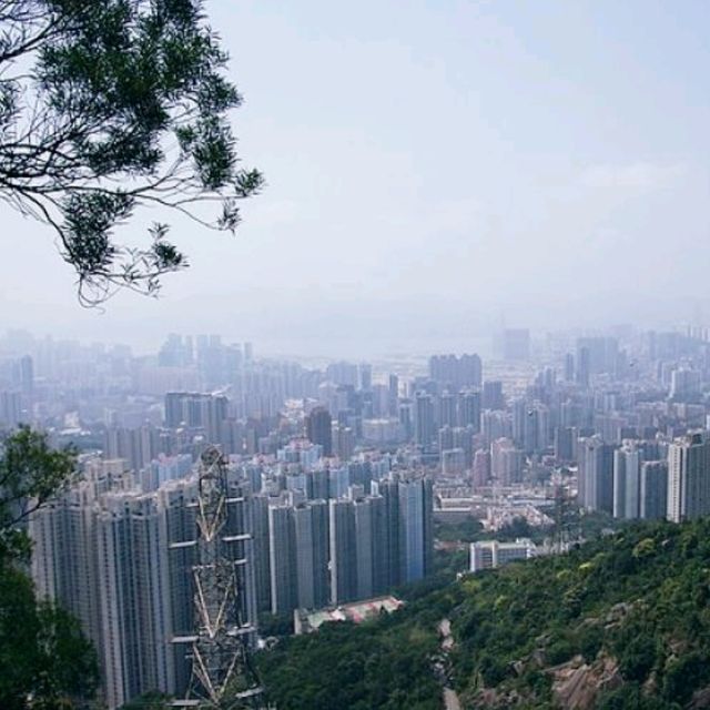 🏞️ 獅子山郊遊體驗★自然與夜景之美