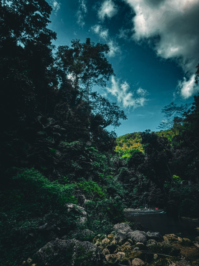 A forest retreat in 🇵🇭 