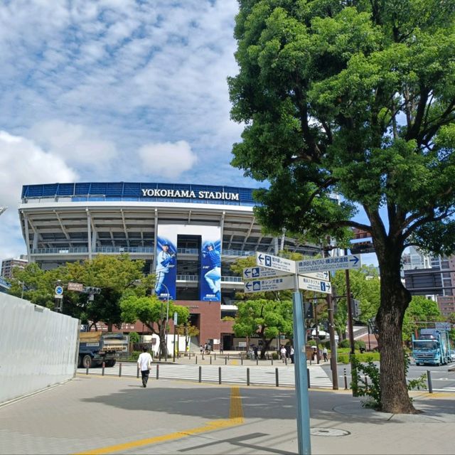 横浜観光✨中華街からすぐ『横浜スタジアム』