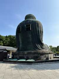 【鎌倉】觀光必到路線-高德院 鎌倉大佛